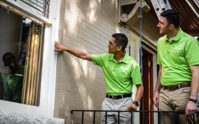 Lime Painting – the first and only high end painting Franchise