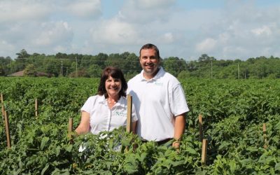 New Year Brings New Deals and Developments for Salad Station