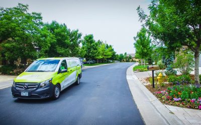 LIME Painting Named One of 2023’s Top New and Emerging Franchises 