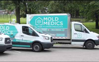 How Mold Medics Emerges as a Key Player in the Indoor Air Quality Industry