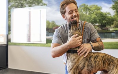 Unleash the Love: Dogtopia Foundation Joins Forces with the Dogs of Dogtopia to Launch Fetch It Forward Fundraising Campaign During National Service Dog Month