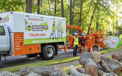 Monster Tree Service on New Soil Health Services and Building Revenue Through Innovation