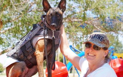 Dog Training Elite Supports Veterans in Obtaining and Training Service Dogs with The Malinois Foundation