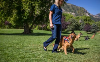 Dog Training Elite Names Former Senior Executive, Current Franchisee as CEO