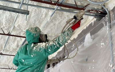Twin Entrepreneurs Bring an Innovative Approach to the Insulation Industry with Spray Foam Genie