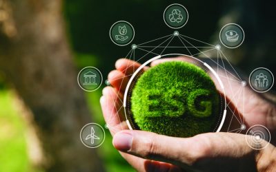 Addressing Five Essential ESG Questions for Franchise Companies