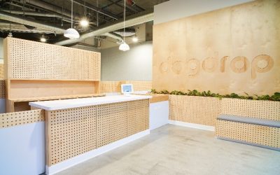 Dogdrop Celebrates 2023 Growth and Aims for Franchising Expansion in the New Year