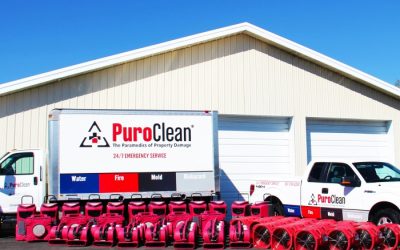 From Coordinator to the Youngest Female Vice President – The Remarkable Journey of Margaret Chebat at PuroClean