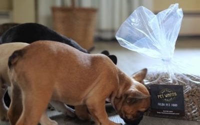 Pet Wants Surpasses 150 Franchise Territories Amidst Double-Digit Sales Growth