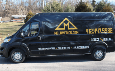 Mold Medics Founder Returns to Brand as Franchise Owner