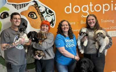 From Doubt to Destiny: Theresa Napolitano’s Empowering Journey to Dogtopia Ownership