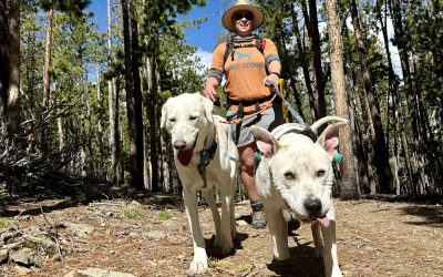 Lack of “Enriching Dog Activities” Fuels Expansion for Hike Doggie