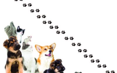 How to Capitalize on the Growing Pet Industry with Franchising