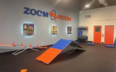 Zoom Room Strengthens Leadership, Expands Multi-Unit Franchise Ownership Amidst Mid-Year Growth