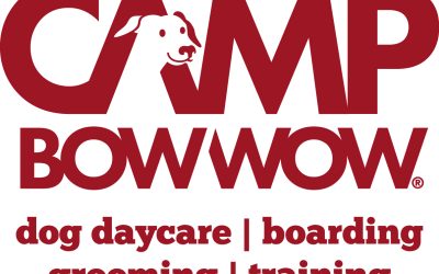 Camp Bow Wow