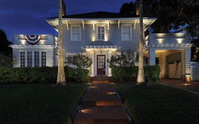 Wonderly Lights: Illuminating the Future with Record-Breaking Growth