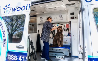 How National Partnerships Are Enhancing Woofie’s Services