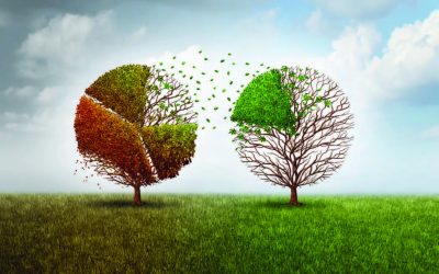 The Silent Killer of Franchise Growth