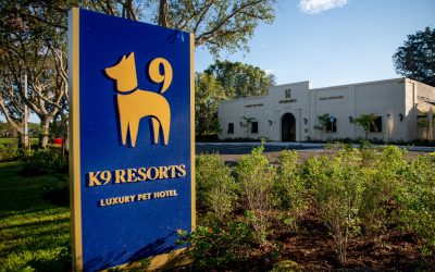 K9 Resorts Debuts on Inc. 5000 List Amid Record Franchise Growth