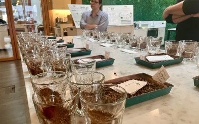 Brewing Innovation at Beans & Brews Coffee House