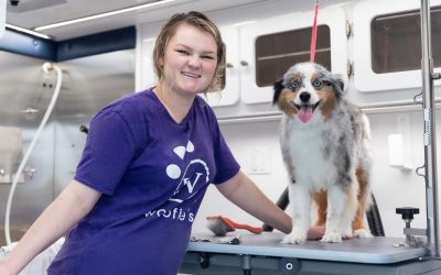 Woofie’s® Marks 21 Years of Serving Pets and Their People with Nationwide “Yappy Hour” Celebrations