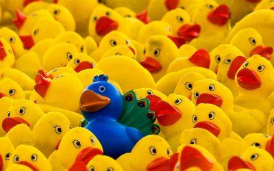 Key Differentiators Can Be a “Make or Break” Proposition for Emerging Franchise Brands