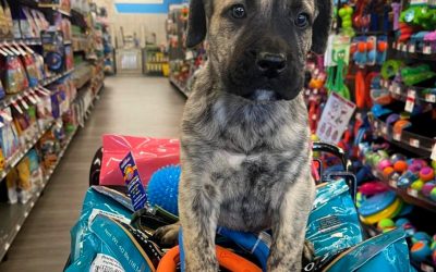 Pet Supplies Plus and Wag N’ Wash Reinforce Commitment to Local Communities, Expand Local Giving Initiatives