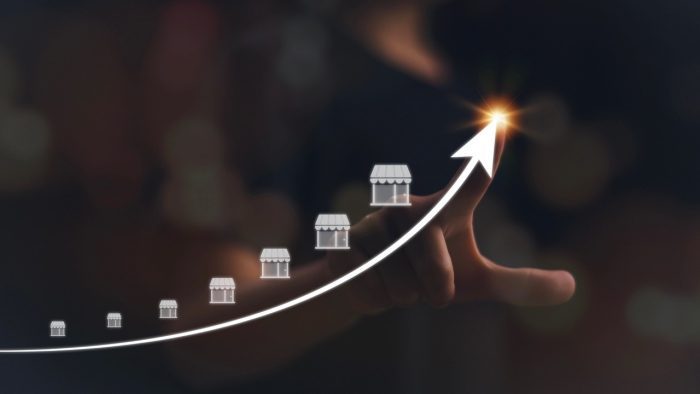 Expert Tips: How to Build and Scale a Successful Franchise