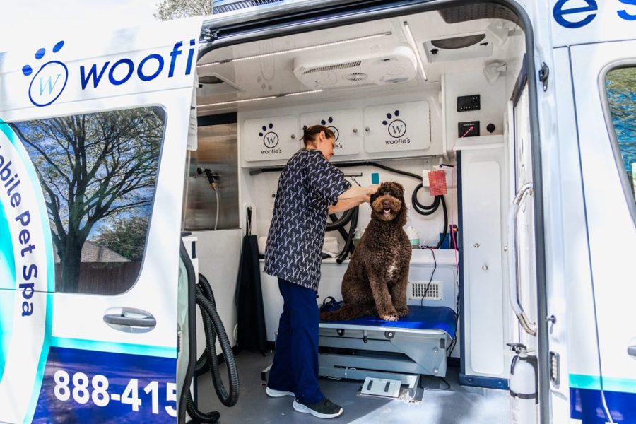 How National Partnerships Are Enhancing Woofie’s Services