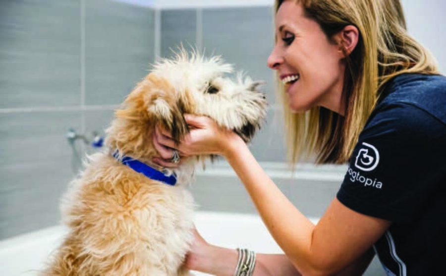 Dogtopia Foundation Celebrates Milestone