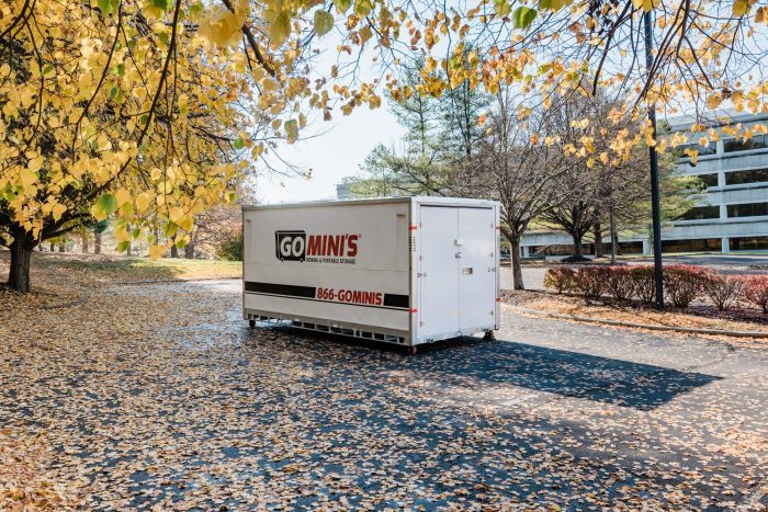 Go Mini’s: Innovative Storage Solutions for Homes and Businesses